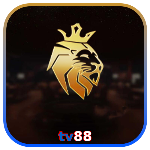tv88